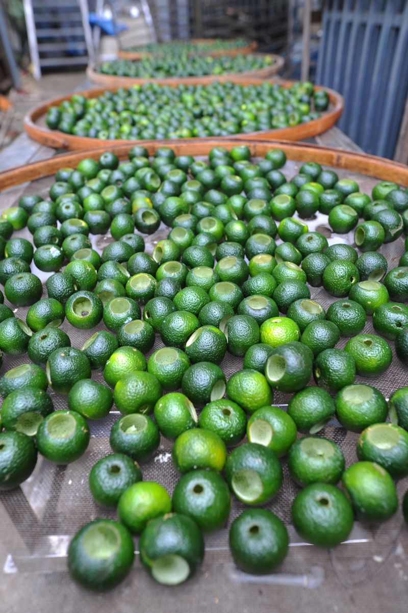 新会小青柑东甲浓香型小青柑金牙宫廷普洱茶柑普茶
