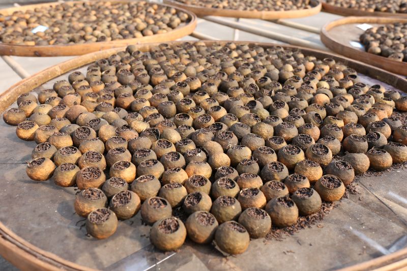 新会小青柑东甲浓香型小青柑金牙宫廷普洱茶柑普茶