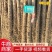 沙土地优质铁棍山药产地货源，实地考察，见面交易欢迎采购