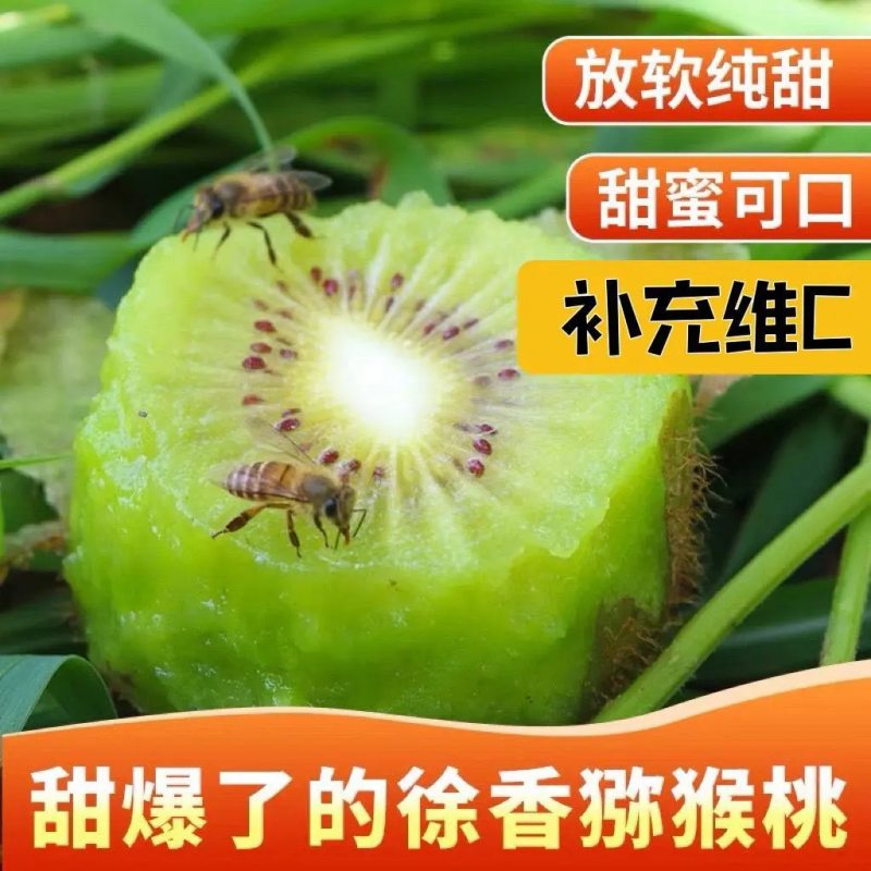 【精品】精品陕西眉县生态徐香猕猴桃，大量供应，欢迎采购