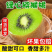 【精品】精品陕西眉县生态徐香猕猴桃，大量供应，欢迎采购