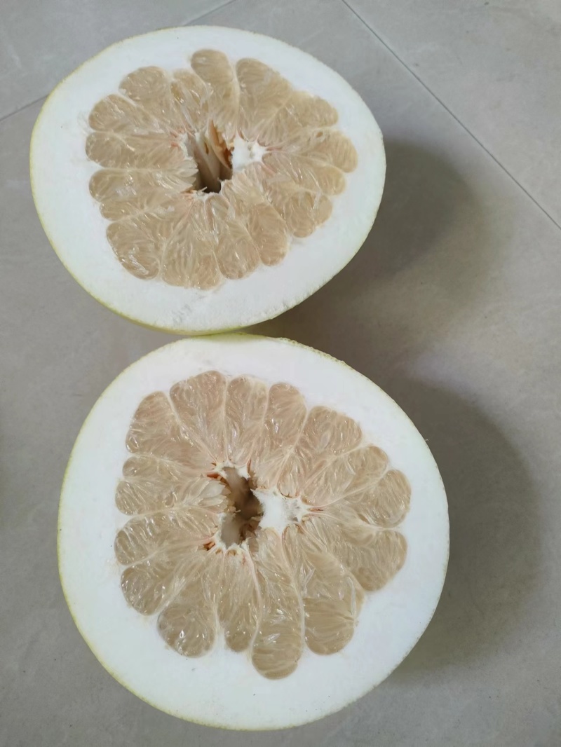 优质红心柚大量上市皮薄汁甜质量保障视频看货等您来电