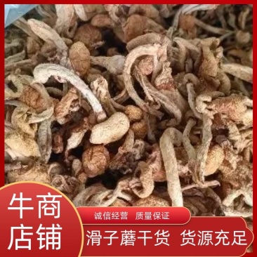 滑子蘑，滑子菇头茬干货，一手货源，质量好，价格优电联