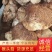 精品猴头菇，黑龙江产地发货，质量保证货源充，欢迎电联下单