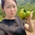 蜜橘柑桔产地现摘现发可视频看货欢迎咨询