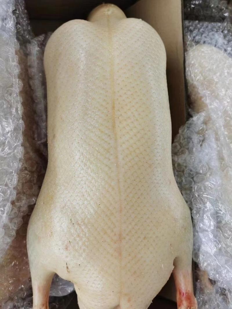 北京烤鸭坯白条鸭鸭胚烤鸭半成品四系樱桃谷厂家直卖