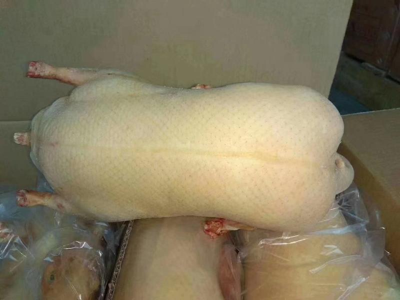 北京烤鸭坯白条鸭鸭胚烤鸭半成品四系樱桃谷厂家直卖