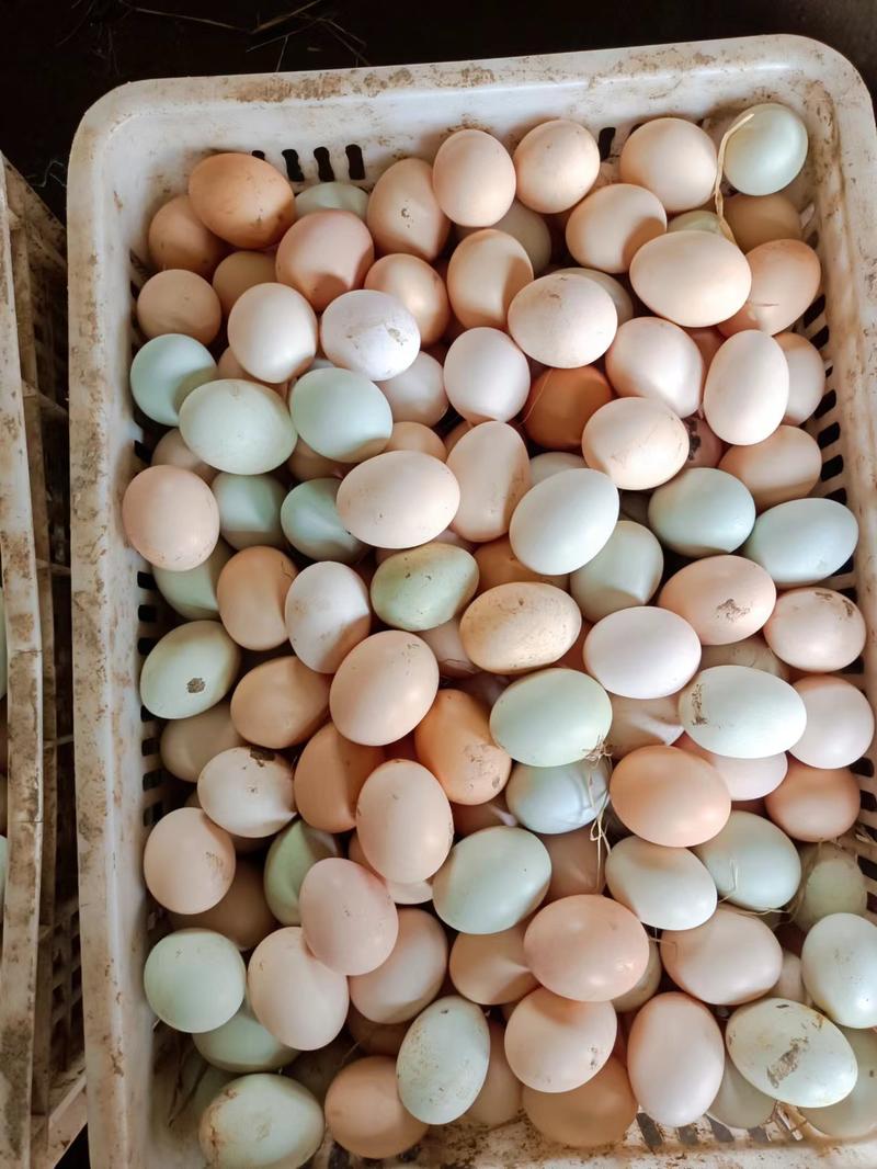【电商】一箱42斤售后无忧，散养土鸡蛋，诚信经营