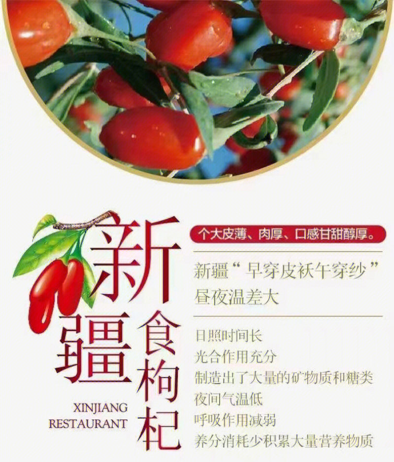 新疆枸杞苗抗旱耐冻产量高抗病性高挂果快