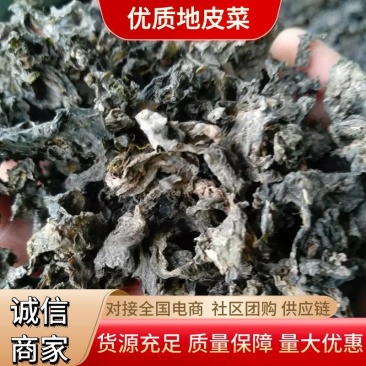 优质地皮菜干货手工去杂视频看货一手货源品质保障欢迎来电