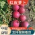 红萝卜，红皮萝卜，个头均匀，颜色鲜亮，适合市场商超