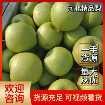 梨河北青皮皇冠梨糖分高脆甜多汁全国发货全年有货