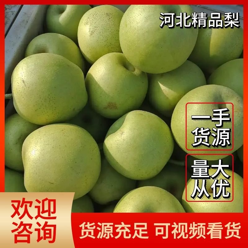 梨河北青皮皇冠梨糖分高脆甜多汁全国发货全年有货