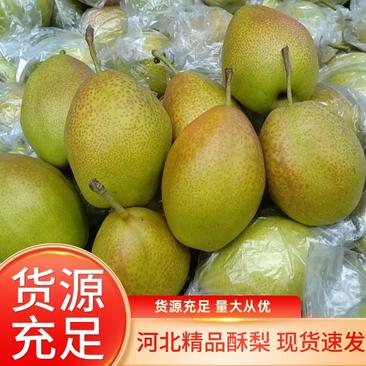 【梨】河北正宗酥梨产地直发商超品质量大从优全国发货