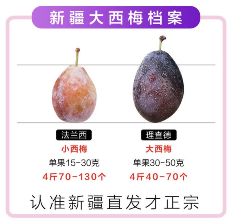 理查德西梅苗西梅苗根系发达丰产性好果甜丰满