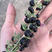 黑果枸杞树苗枸杞苗根系发达丰产性好现挖保湿发货