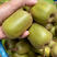 黄金奇异果猕猴桃苗根系发达丰产性好果大味甜