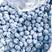 双丰蓝莓产量高好管理挂果快存活率高死苗补发