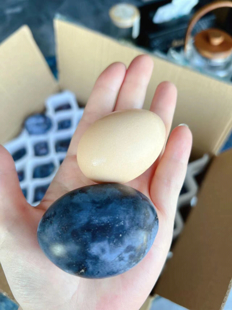 蓝蜜西梅苗根系发达丰产性好现挖保湿发货