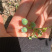 甜蜜蜜蓝莓树苗根系发达丰产性好现挖保湿发货