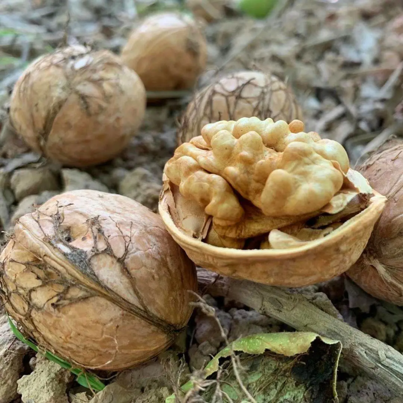 【好货】新疆185纸皮核桃原味椒盐味核桃口味齐全