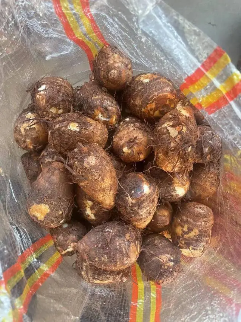 山东芋头山东毛芋头芋头8250规格齐全