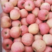 【山东苹果】山东红富士苹果，口感脆甜，全国发货保证质量