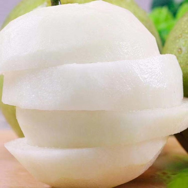 苹果梨树苗梨苗根系发达丰产性好现挖保湿发货