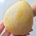 黄金奈李苗李子苗根系发达丰产性好现挖保湿发货