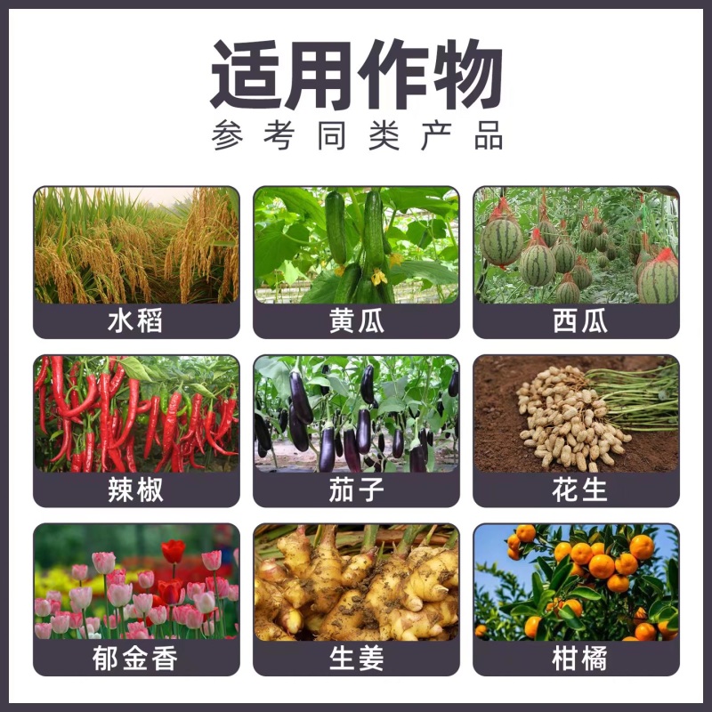 【牛商】齐寂甲霜恶霉灵根腐立枯茎基腐病蔬菜草莓杀菌剂