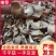 【实力推荐】干平菇大量供应自然烘干商超品质一手货源