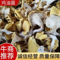 【好货】鸡油菌榆黄菇！基地发货，保证质量，尽快发货