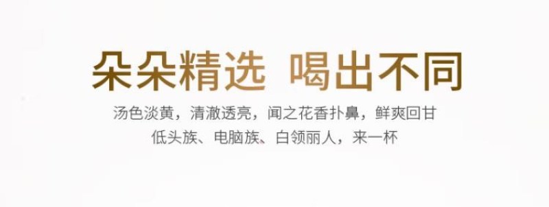 皇菊精选手工泡茶滋补料理养身食材菊花泡茶泡水礼物