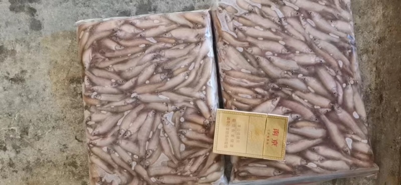 开肚麦穗鱼麻鱼5-7公分2斤装，产地发货，质量保证