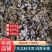 东北精品秋木耳1.5秋耳肉厚无根产地直发质量保证