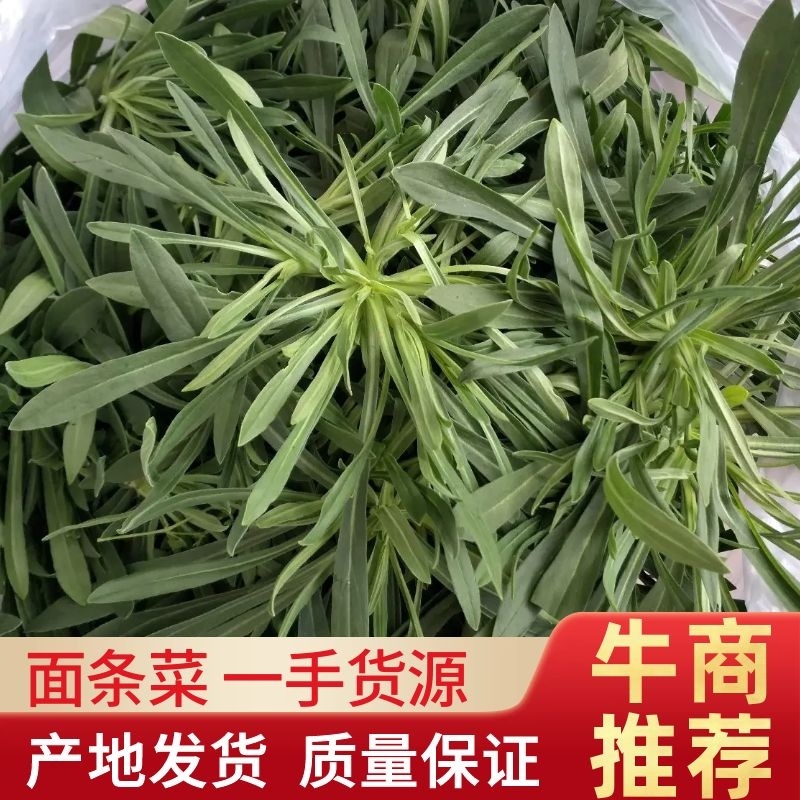 面条菜，基地直供，常年批发价，货发全国菇扎头