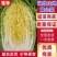 湖北山地王黄心菜，3～5斤，精品散装，袋装均可