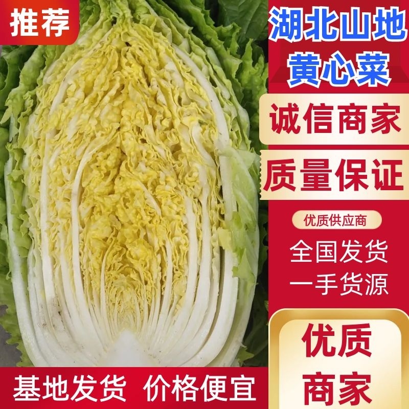 湖北山地王黄心菜，3～5斤，精品散装，袋装均可