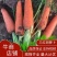 开封精品三红胡萝卜产地直发品质保证支持视频看货
