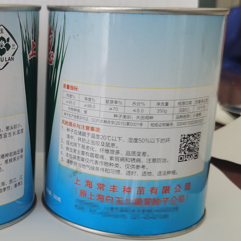 四季小香葱种子分蘖小香葱种籽耐寒能力强大田大棚盆栽蔬菜籽
