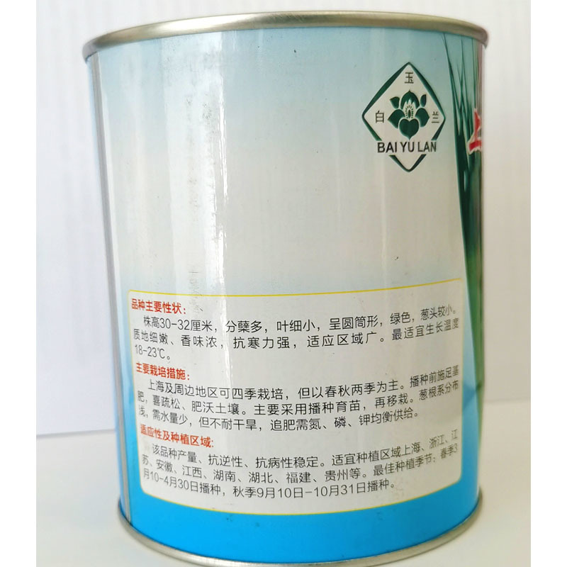 四季小香葱种子分蘖小香葱种籽耐寒能力强大田大棚盆栽蔬菜籽