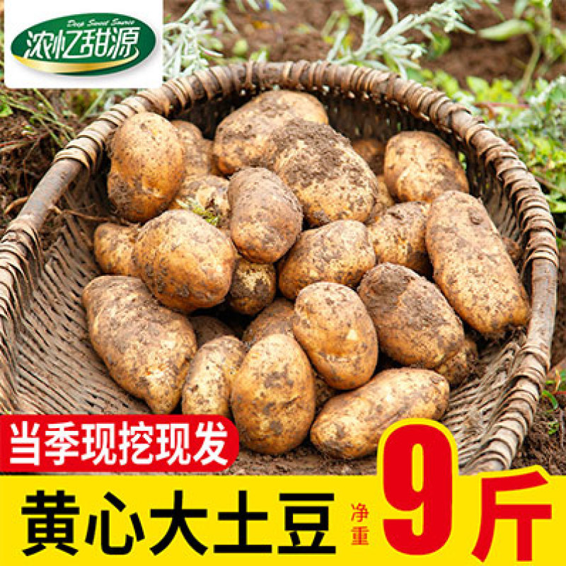 威宁土豆洋芋支持一件代发批发