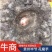 花魔芋，魔芋豆腐，一代种，二代种，质量好，价格优货源充足