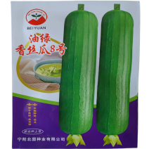 油绿香丝瓜8号丝瓜种子杂交早熟圆筒形肉丝瓜种子短棒丝瓜