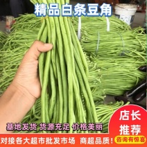 精品长豆角白条豆角大量上市一手货源诚信经营