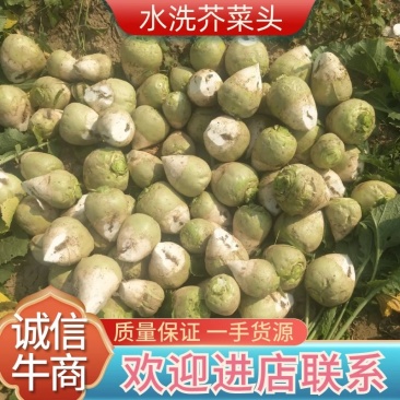 芥菜头，水洗芥菜，大量上市中，，咸菜厂，市场货，电商货，