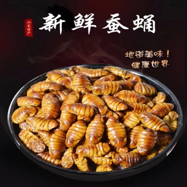 冷冻桑蚕蛹小蚕蛹山东土特产香酥原味干蛹商用