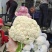 【热卖】松花菜有机花菜青梗白面散花品质好价格低等您来电