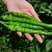 精品线椒辣椒新鲜上市货源充足价格优惠万亩基地对接市场商超