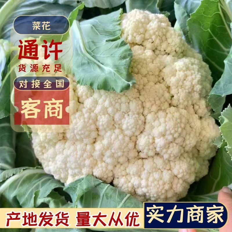 [荐]白面青梗花菜小米粒松花菜菜花散花欢迎来电